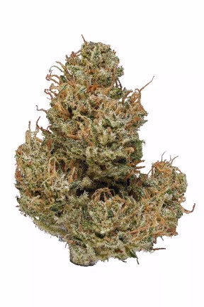 Cannatonic Weed