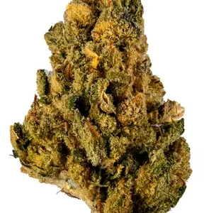 Dog walker OG