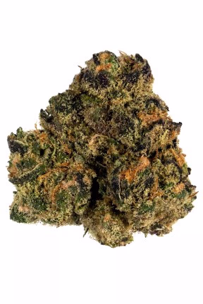 Acheter Sunset Sherbet Weed