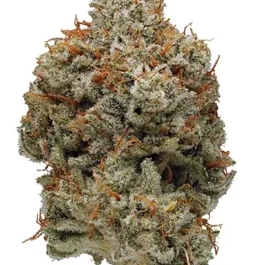 Acheter Great Glue Weed