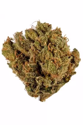 Acheter Venom OG Weed