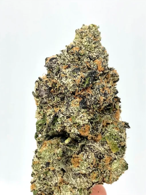 Acheter Gruntz Weed