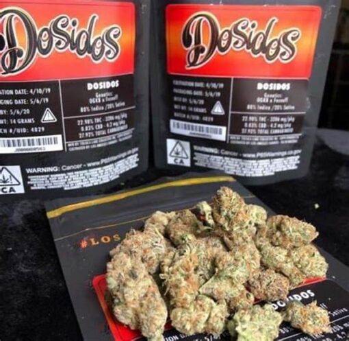 Acheter Jungleboys Dosidos Weed