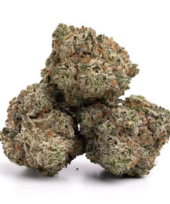 Acheter White Widow