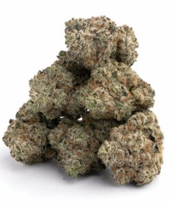 Acheter White Widow