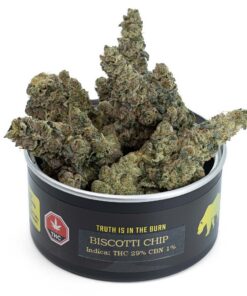 BISCOTTI CHIP Weed