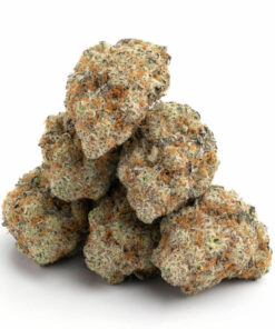 ACDC Weed