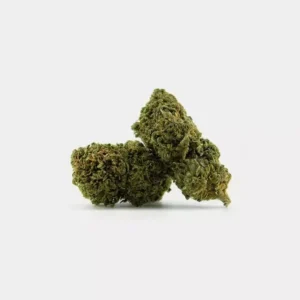 Pistacchio THCP