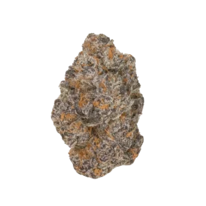 THCP Apple Fritter