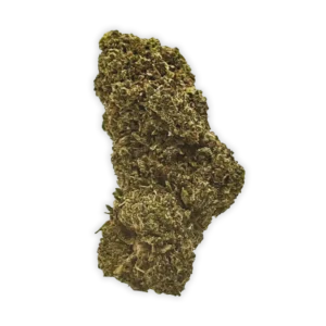 THCP Biscotti
